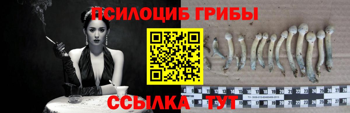 купить  сайты  Вход с VPN  Симферополь  Псилоцибиновые грибы мицелий 